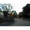 公園
