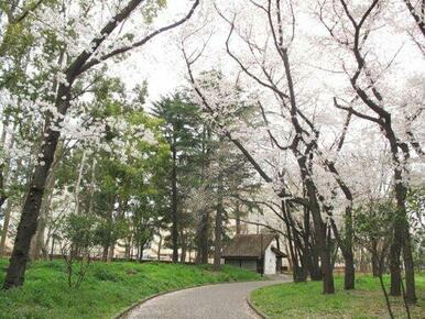 北区中央公園