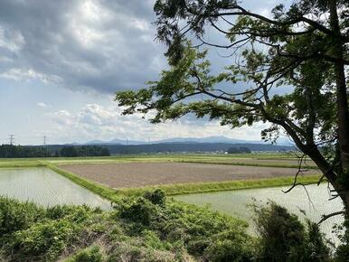 隣地田園