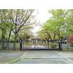 公園