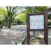 公園