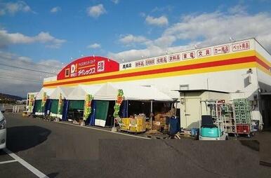 ダイレックス鹿島店