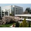 大学