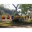 幼稚園、保育園