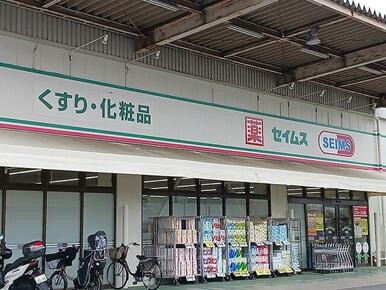 ドラッグセイムス安行店