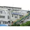 幼稚園、保育園
