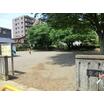 公園