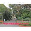 大学