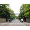 大学