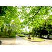 公園