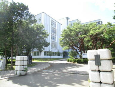 国立東北大学