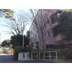 大学