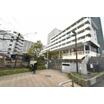 幼稚園、保育園