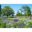 公園