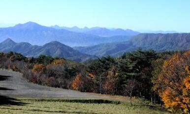 群馬県立２１世紀の森