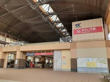 つくばエクスプレスみらい平駅