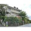 幼稚園、保育園
