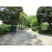 公園