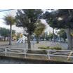 公園