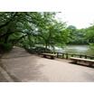 公園