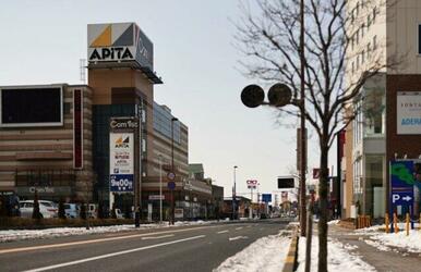 アピタ足利店