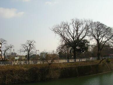 中川公園まで300ｍ