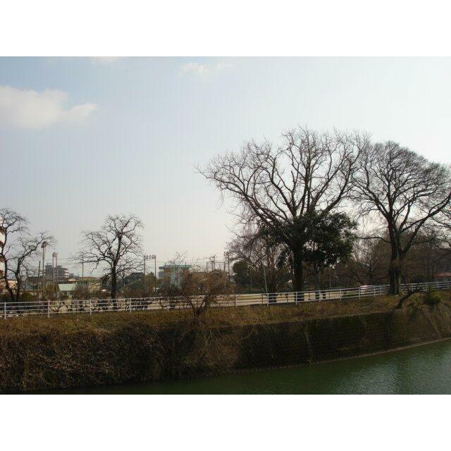 中川公園まで300ｍ