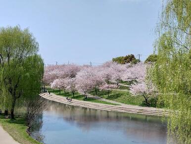 南平野公園