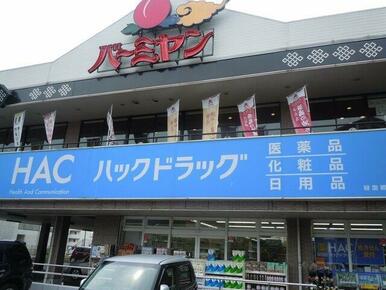 ハックドラッグ緑園都市店