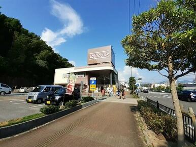 ララコープララなめし