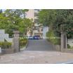 中学校