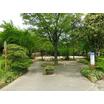 公園