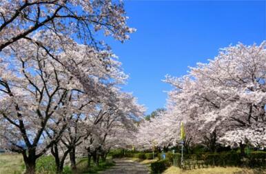 野田河川公園