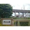 公園