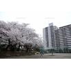公園