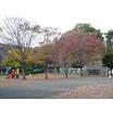 公園