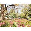 公園