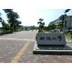 大学