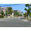 大学