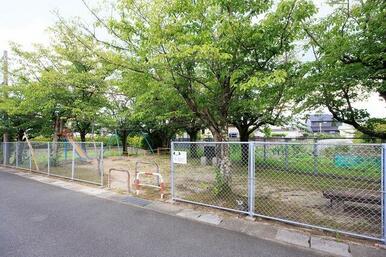 公園