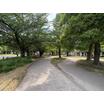 公園