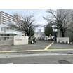 幼稚園、保育園