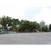 公園