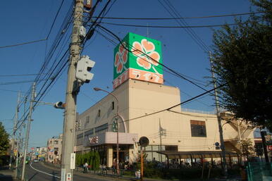 ライフ土支田店