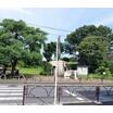 公園
