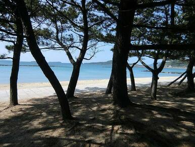 菊ヶ浜海岸