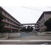 中学校