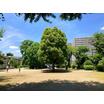 公園