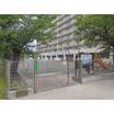 幼稚園、保育園