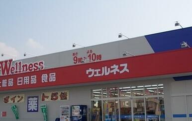 ウェルネス　淀江店